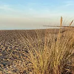 Dünenhopser Rostock