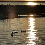 Duenenhopser * Rostock