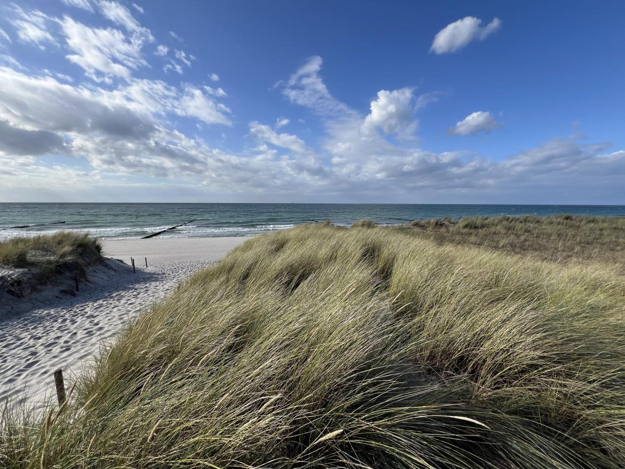 Dünenhopser Apartment *